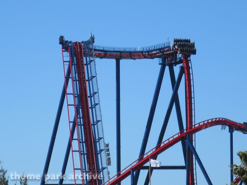 Sheikra at Busch Gardens Tampa