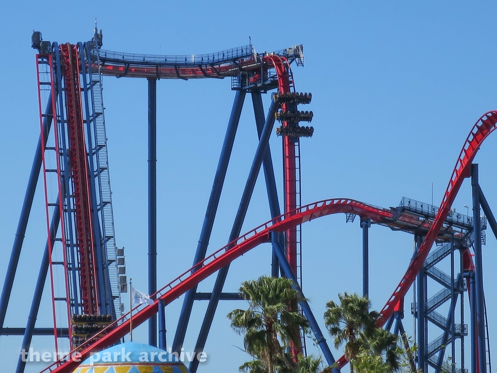 Sheikra at Busch Gardens Tampa