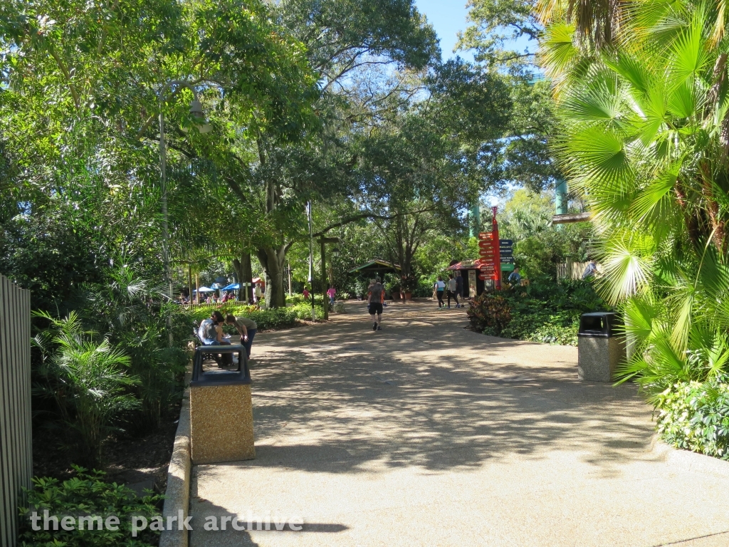 Jungala at Busch Gardens Tampa