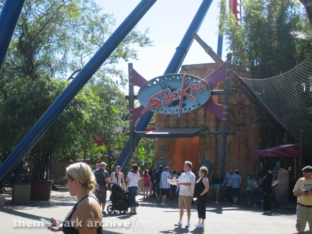 Sheikra at Busch Gardens Tampa