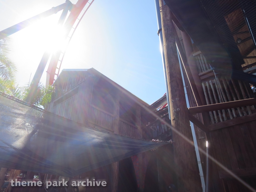 Sheikra at Busch Gardens Tampa