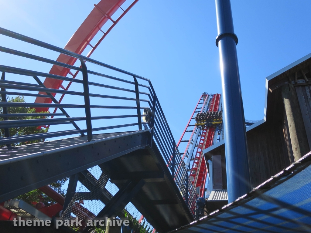 Sheikra at Busch Gardens Tampa