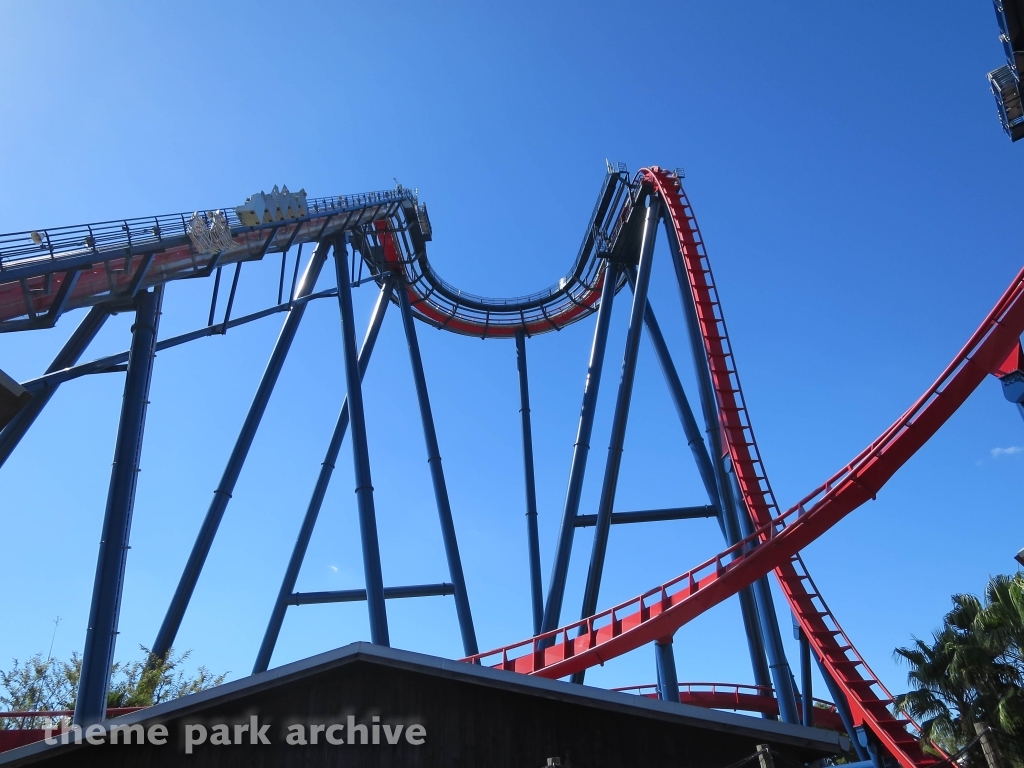 Sheikra at Busch Gardens Tampa