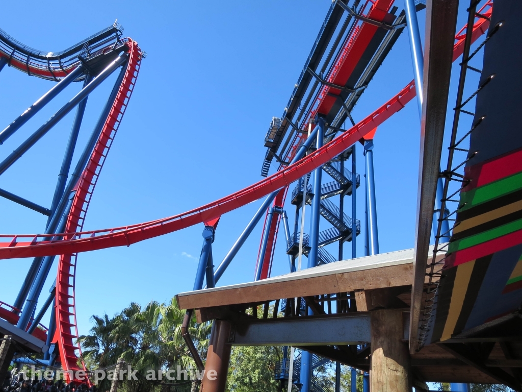 Sheikra at Busch Gardens Tampa