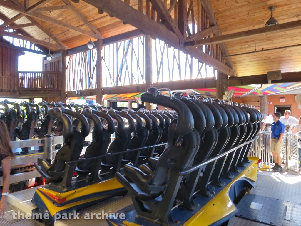 Sheikra at Busch Gardens Tampa