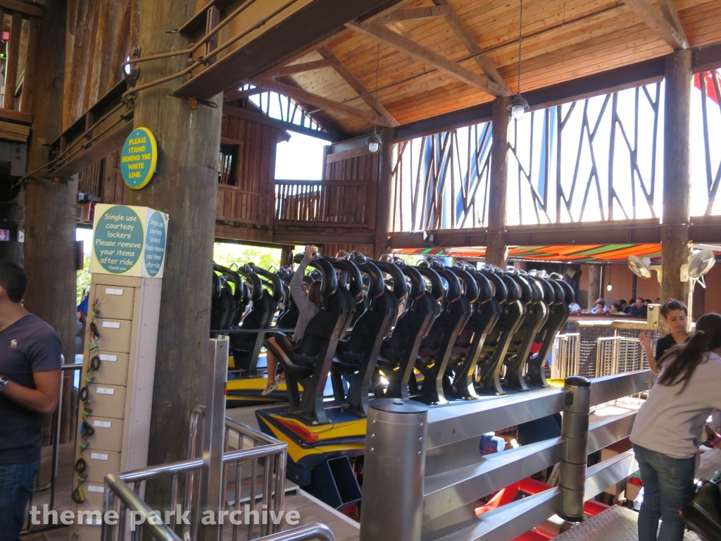 Sheikra at Busch Gardens Tampa