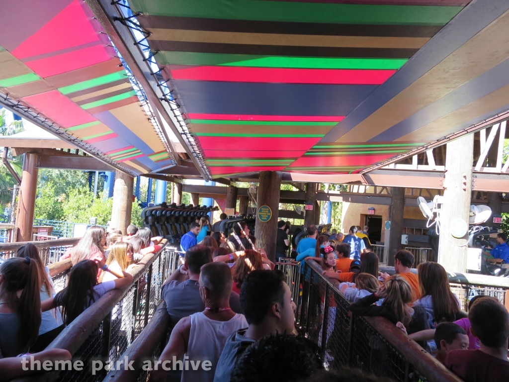Sheikra at Busch Gardens Tampa
