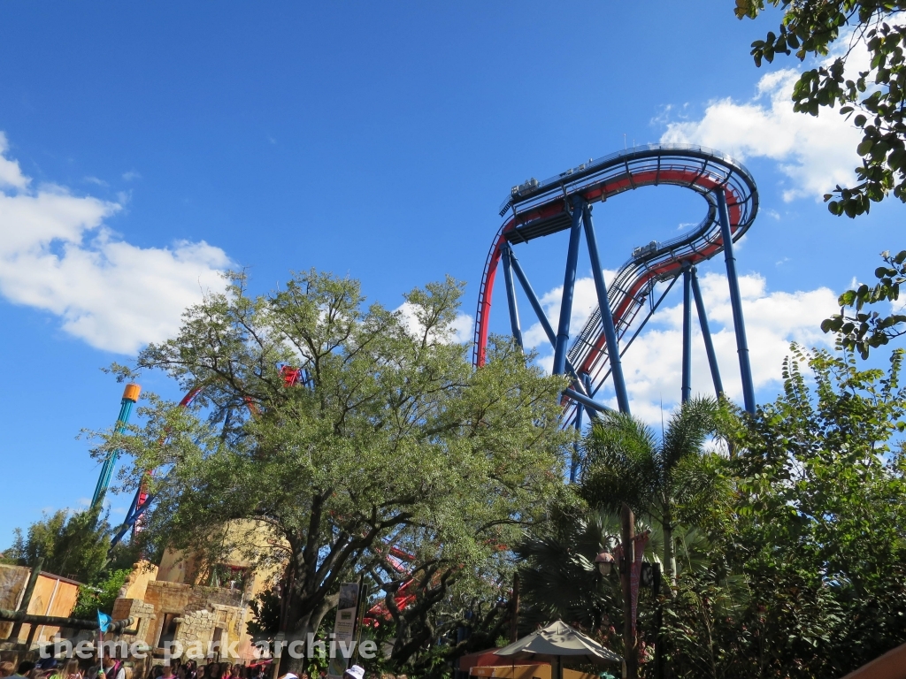 Sheikra at Busch Gardens Tampa