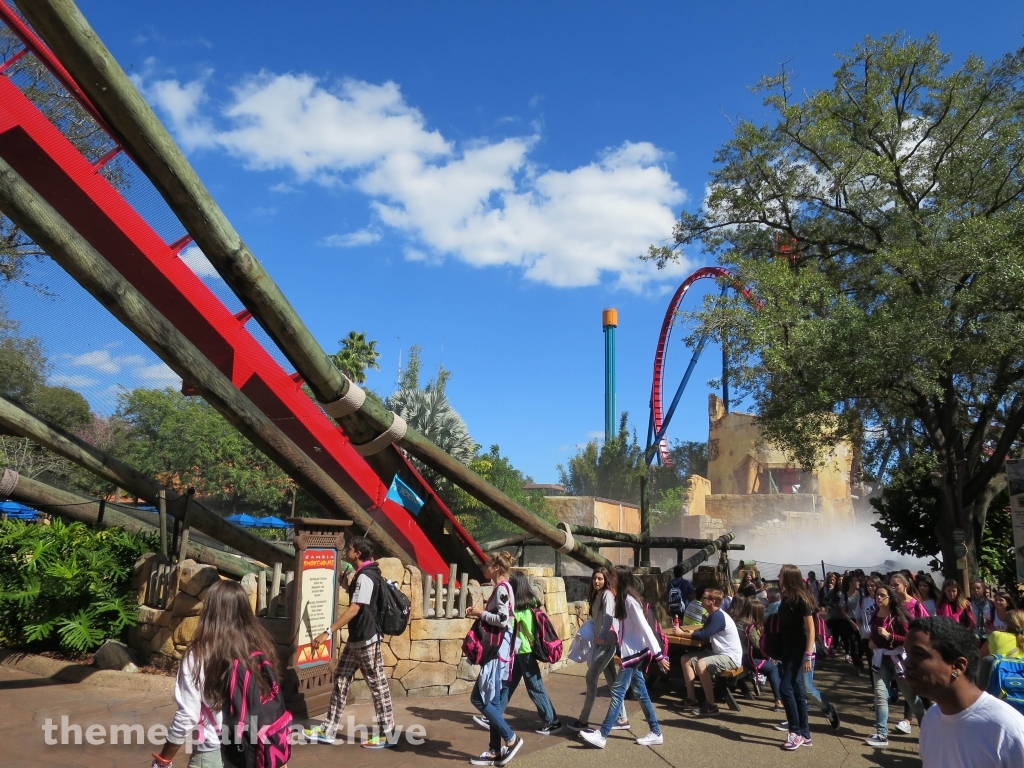 Sheikra at Busch Gardens Tampa
