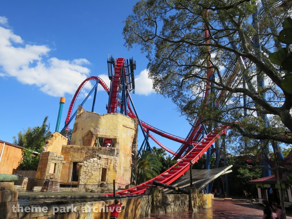 Sheikra at Busch Gardens Tampa