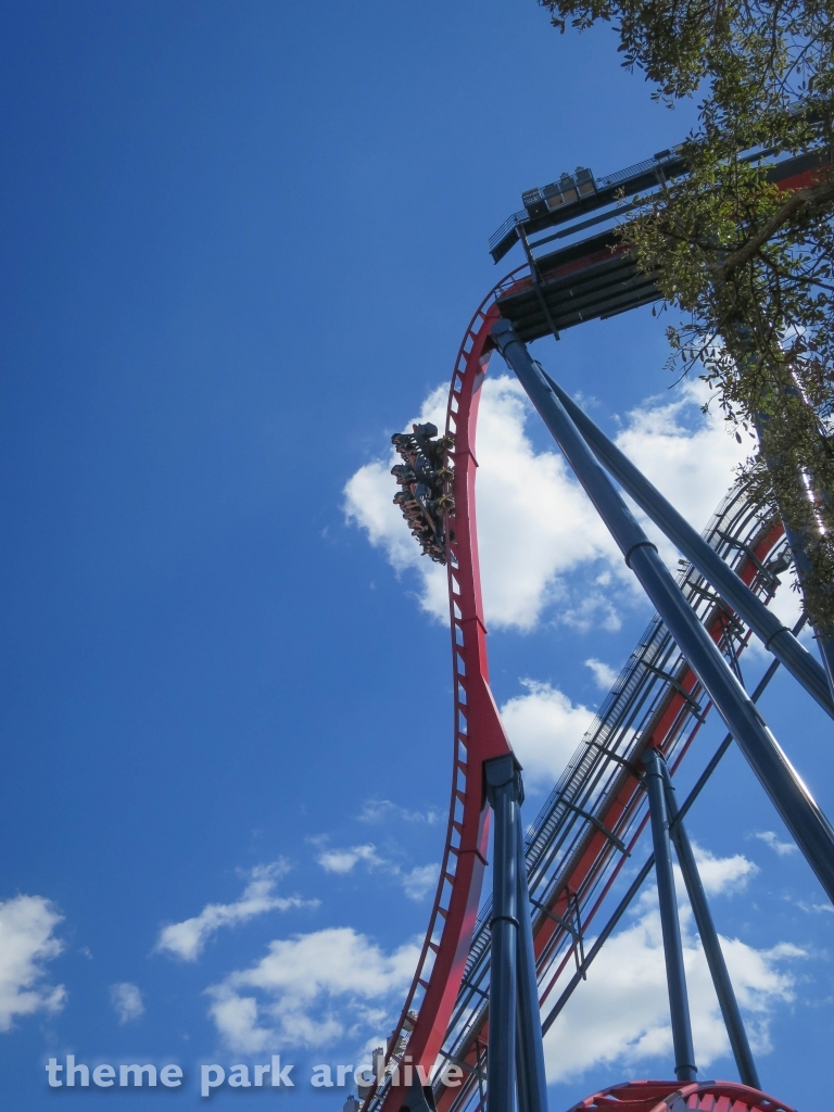 Sheikra at Busch Gardens Tampa