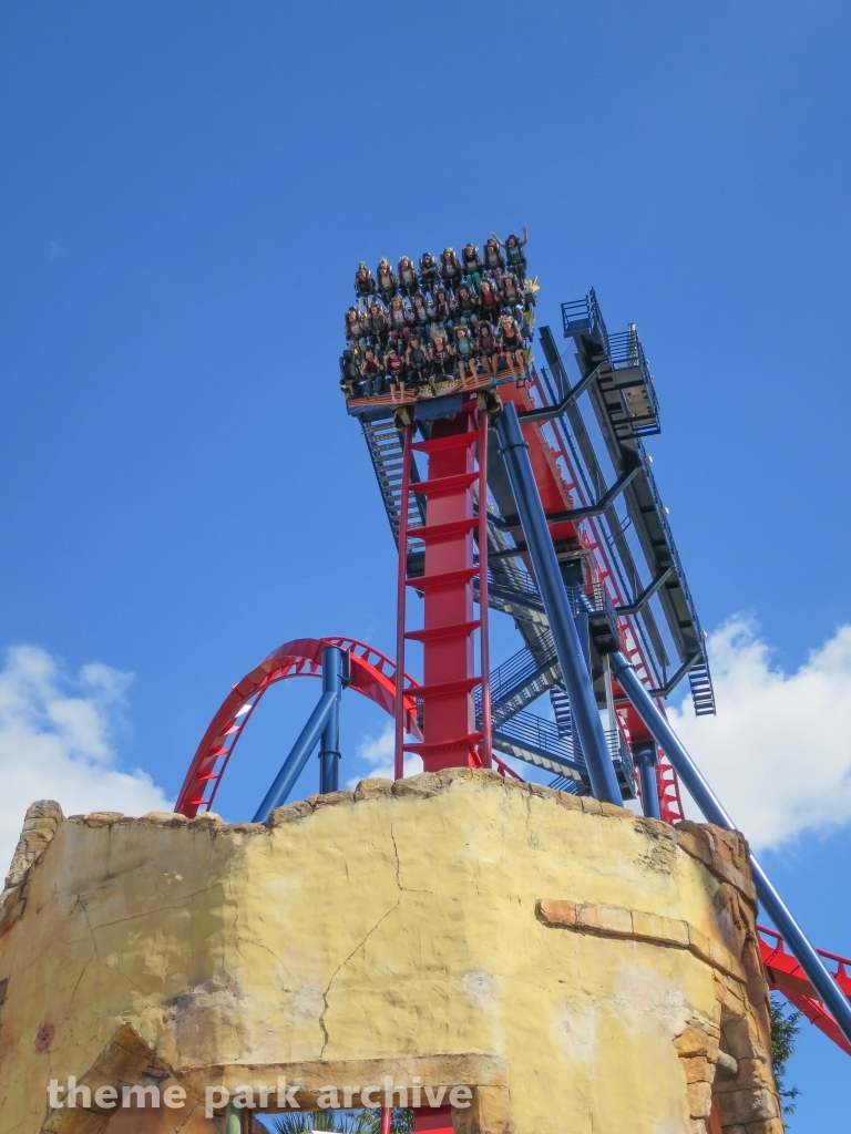 Sheikra at Busch Gardens Tampa