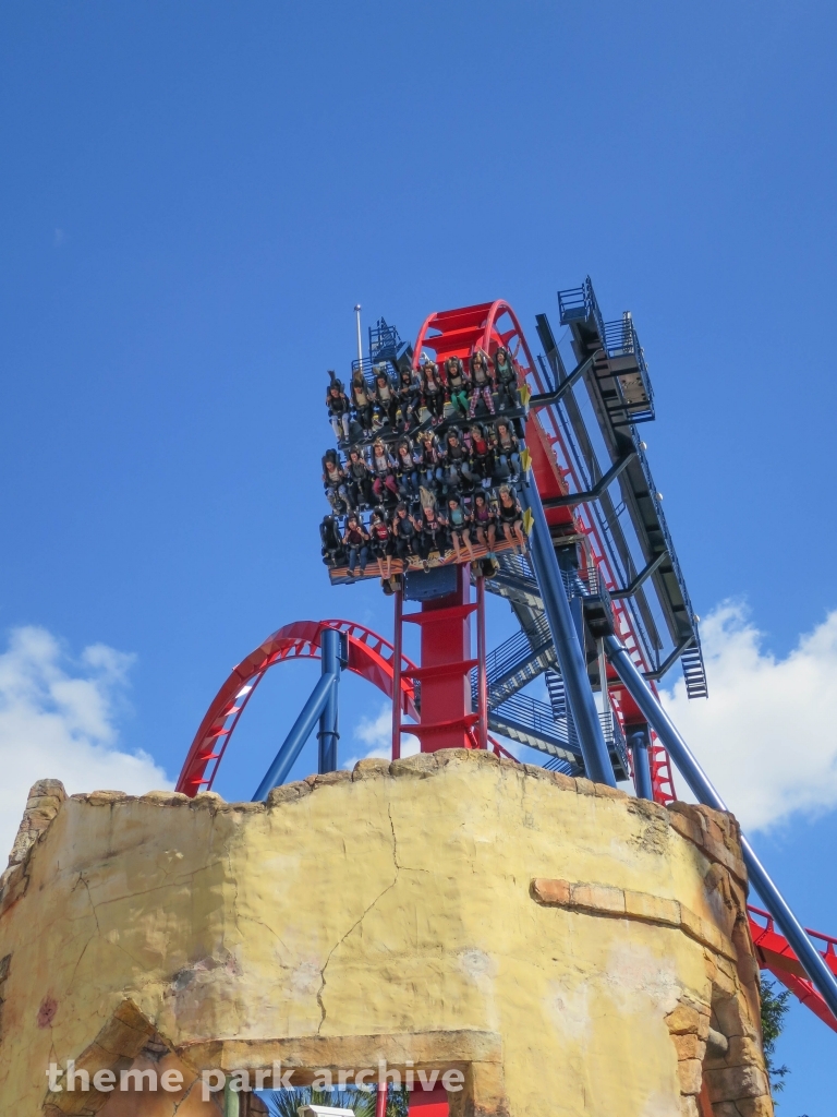 Sheikra at Busch Gardens Tampa