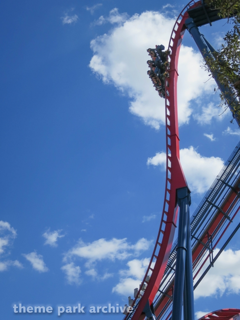 Sheikra at Busch Gardens Tampa