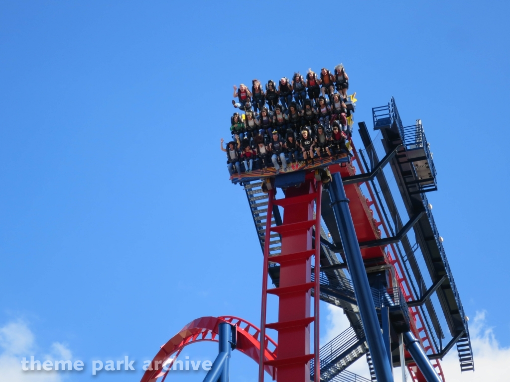 Sheikra at Busch Gardens Tampa