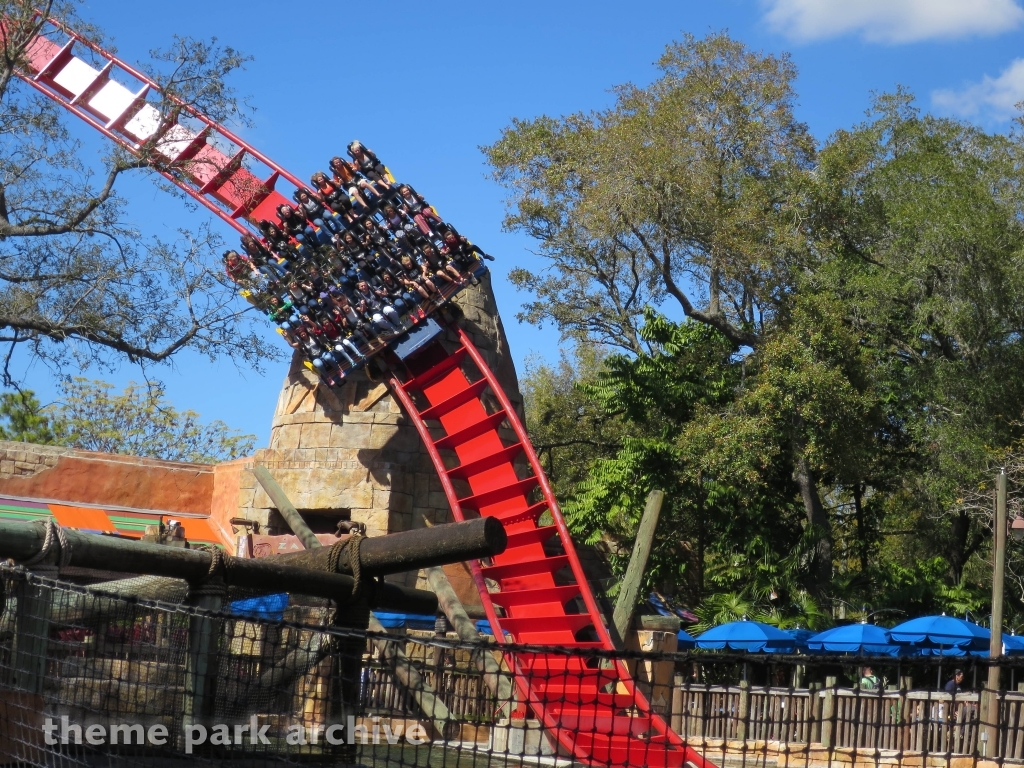 Sheikra at Busch Gardens Tampa