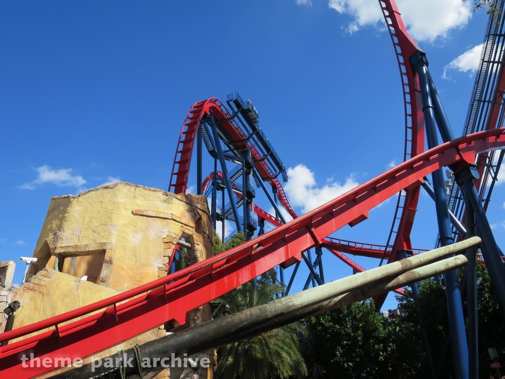 Sheikra at Busch Gardens Tampa