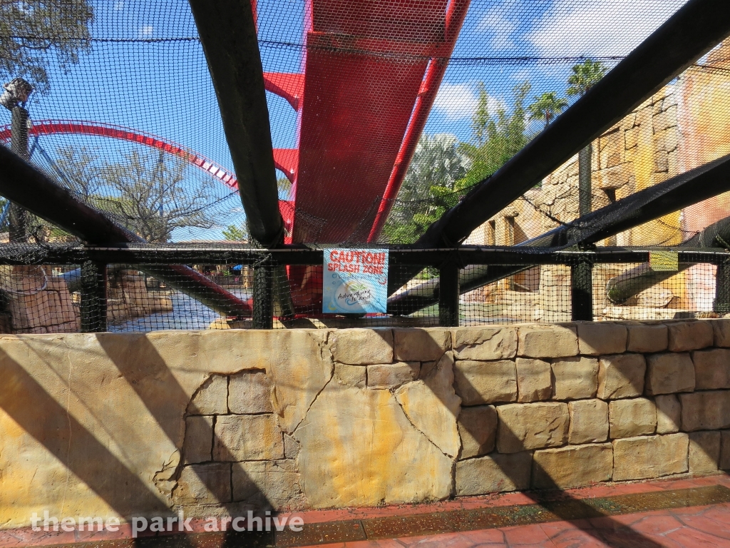 Sheikra at Busch Gardens Tampa