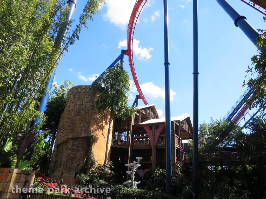 Sheikra at Busch Gardens Tampa