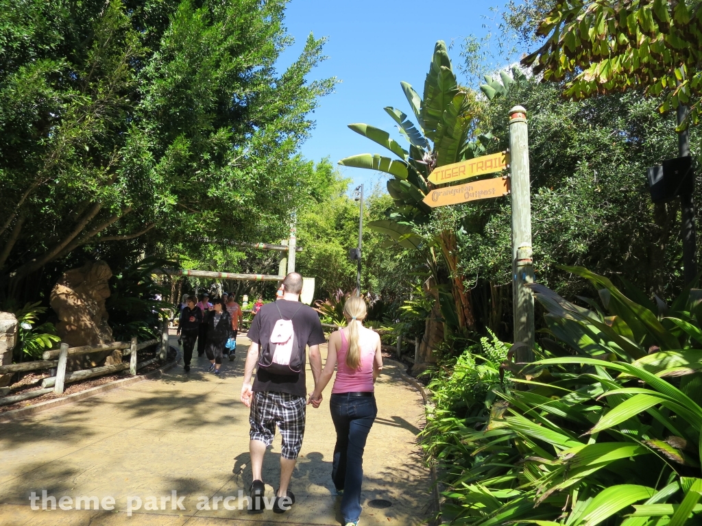 Jungala at Busch Gardens Tampa