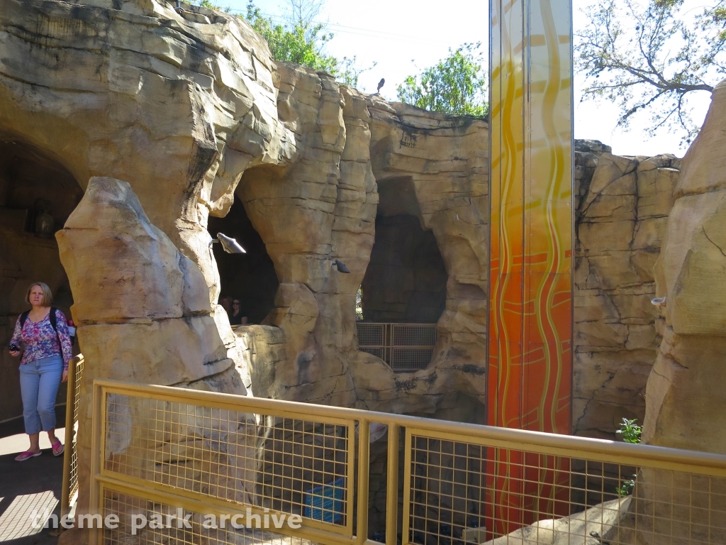 Jungala at Busch Gardens Tampa