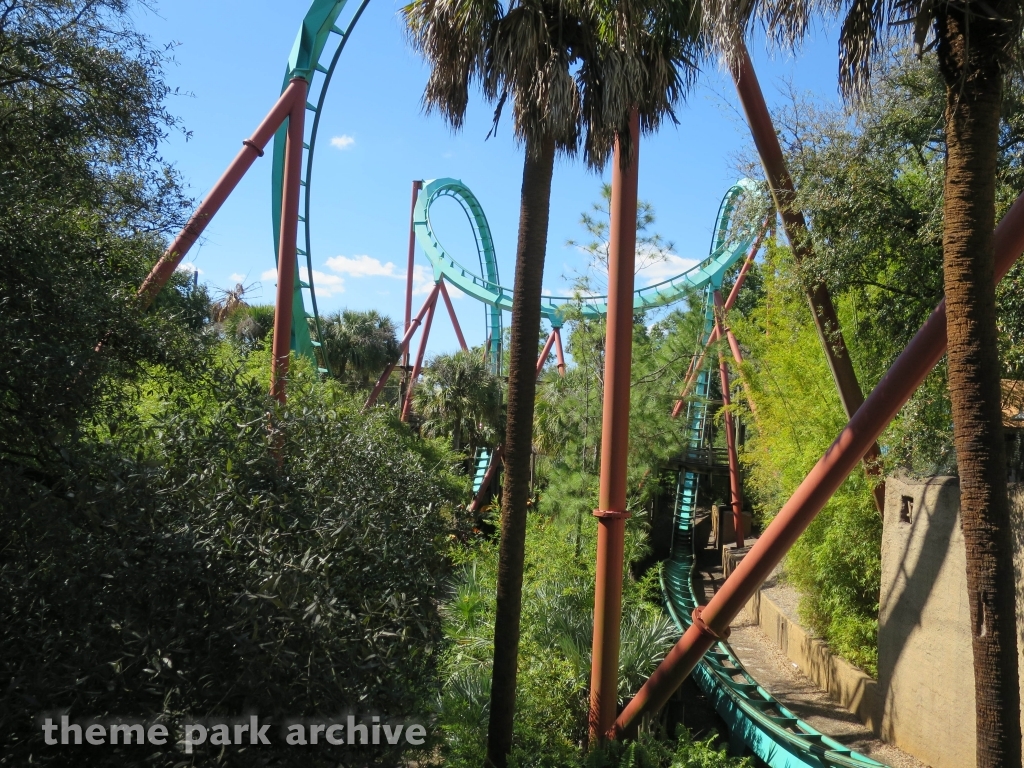 Kumba at Busch Gardens Tampa