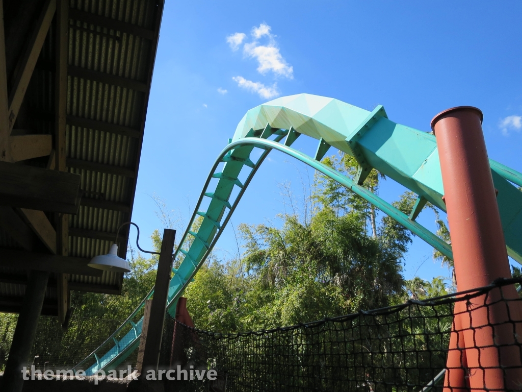 Kumba at Busch Gardens Tampa