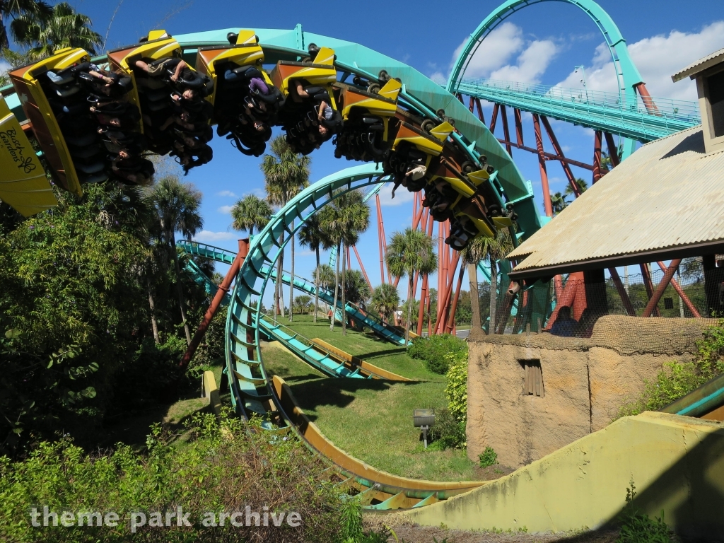 Kumba at Busch Gardens Tampa
