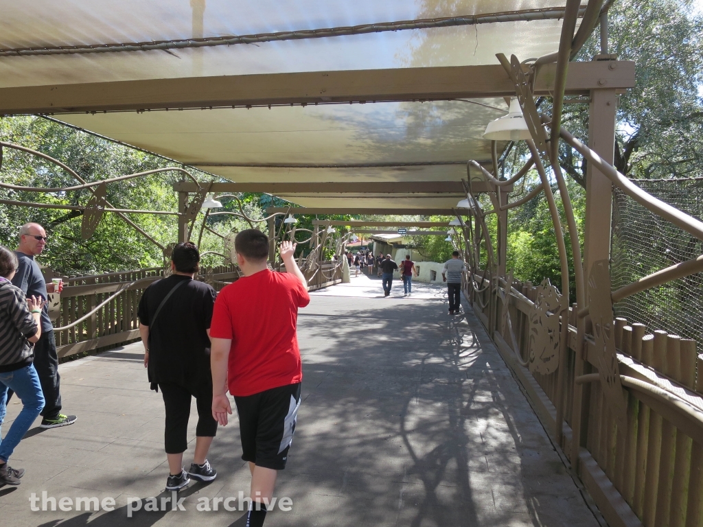 Kumba at Busch Gardens Tampa