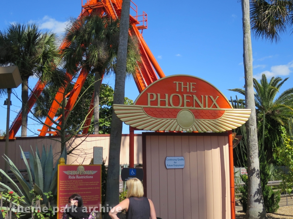Phoenix at Busch Gardens Tampa