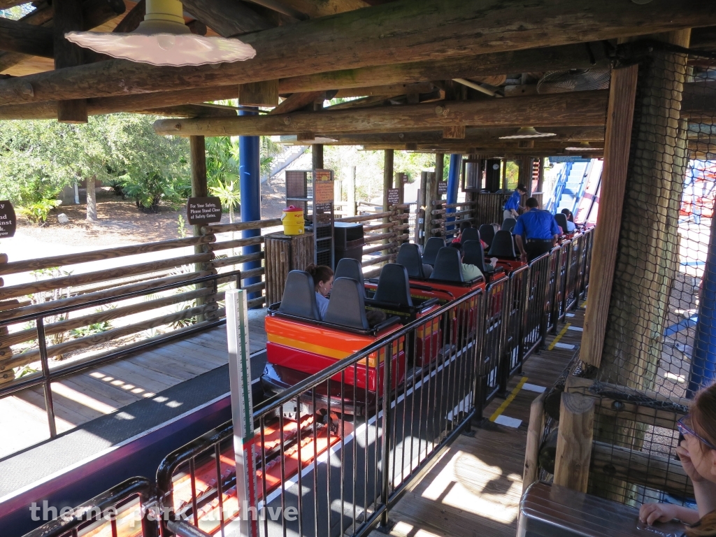 Scorpion at Busch Gardens Tampa