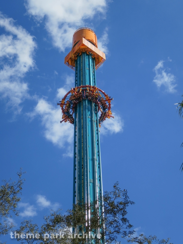 Falcon's Fury at Busch Gardens Tampa