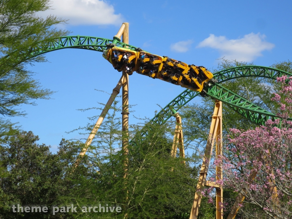 Cheetah Hunt at Busch Gardens Tampa