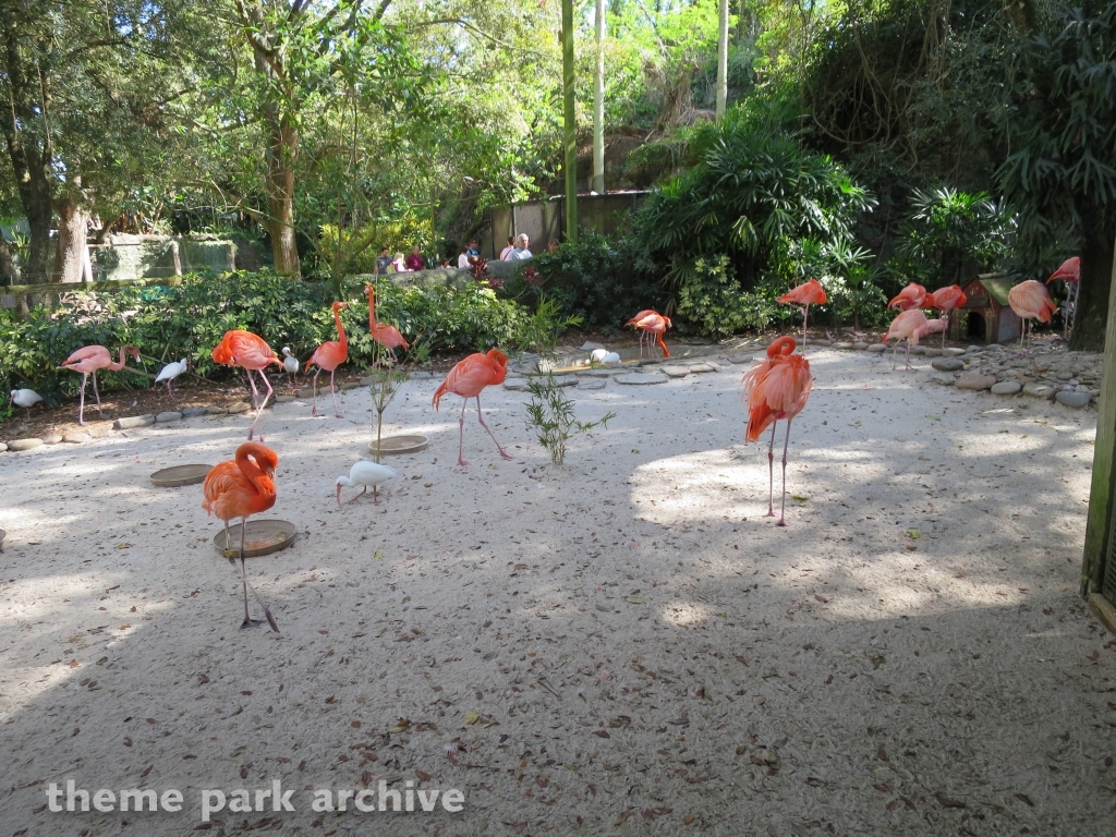 Nairobi at Busch Gardens Tampa