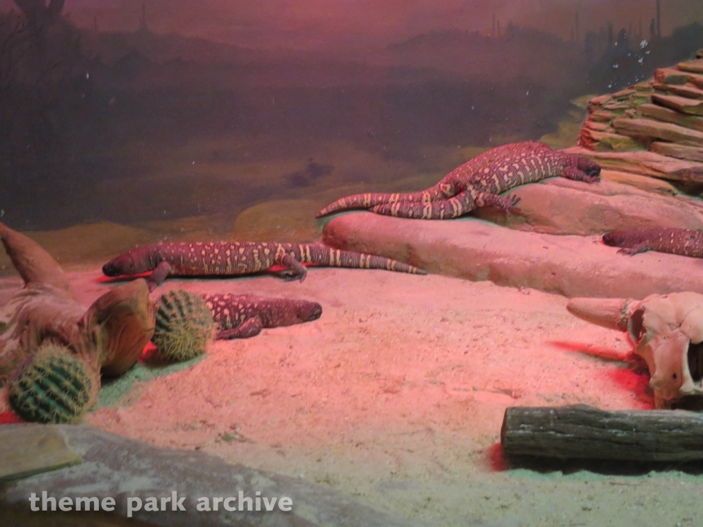 Nairobi at Busch Gardens Tampa