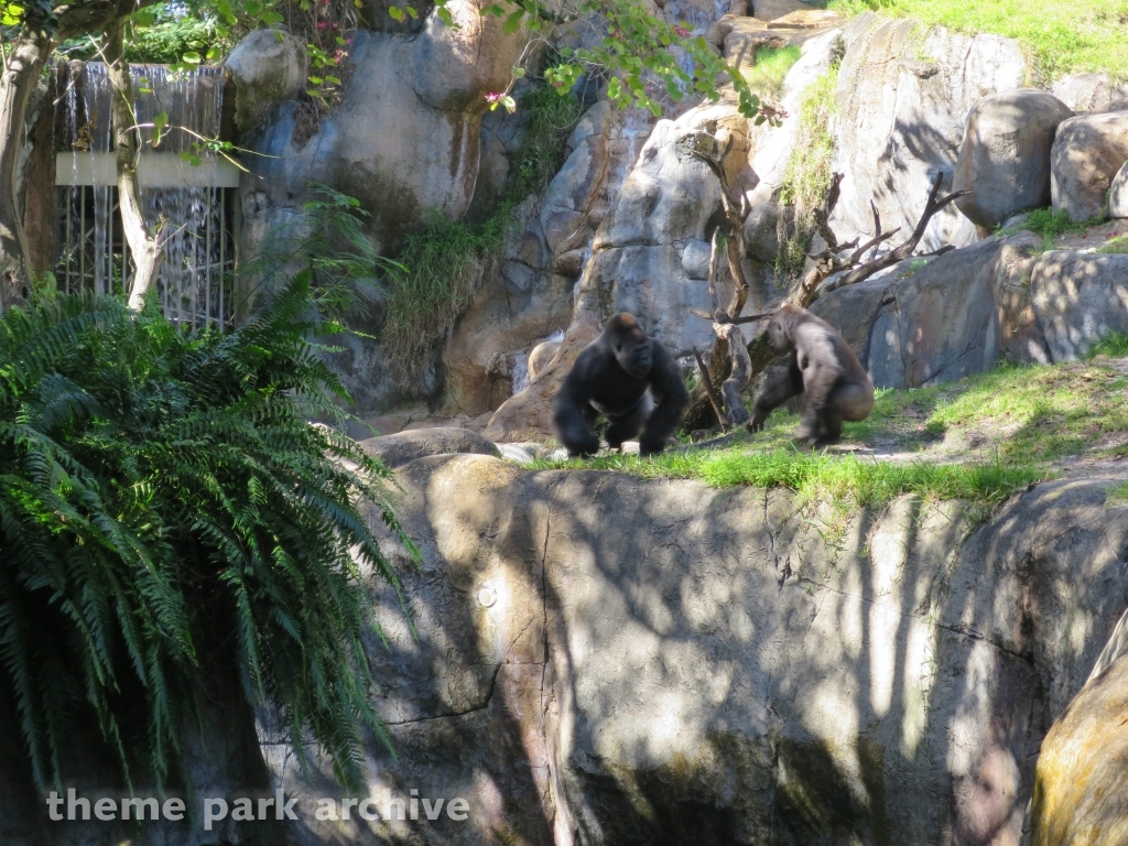 Myambe Reserve at Busch Gardens Tampa