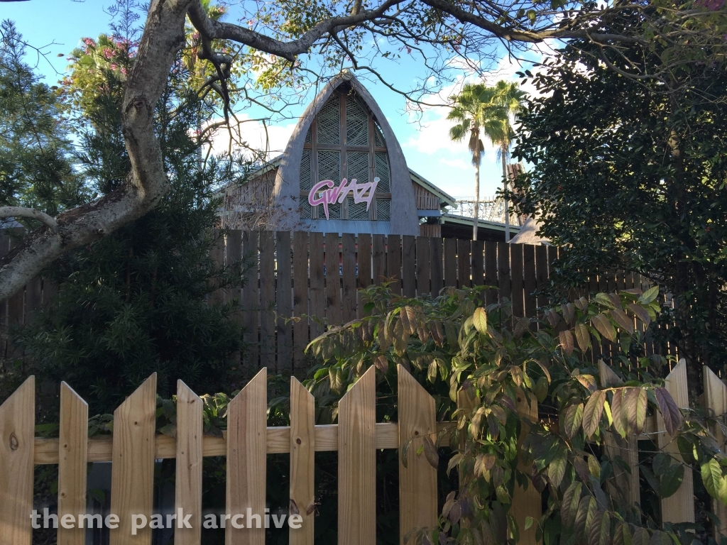 Gwazi at Busch Gardens Tampa