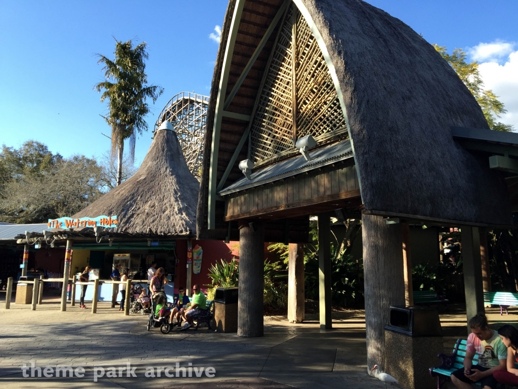 Gwazi at Busch Gardens Tampa
