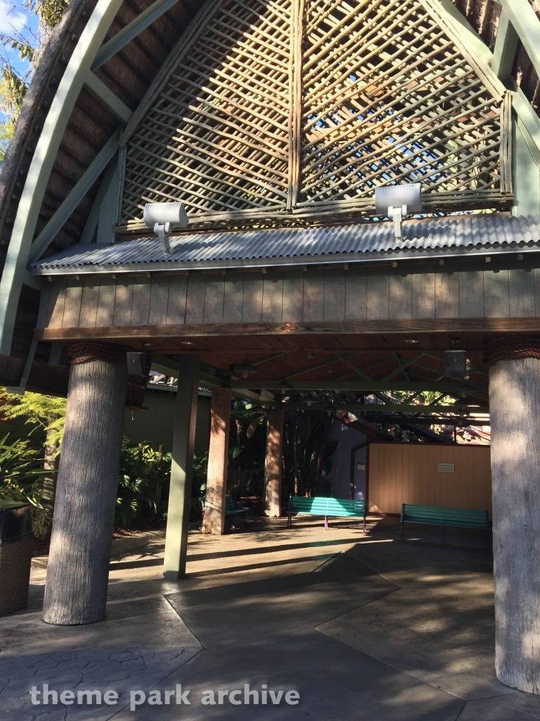 Gwazi at Busch Gardens Tampa