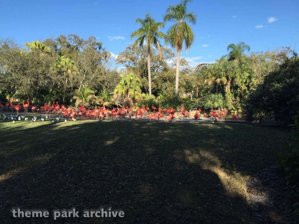 Bird Gardens at Busch Gardens Tampa