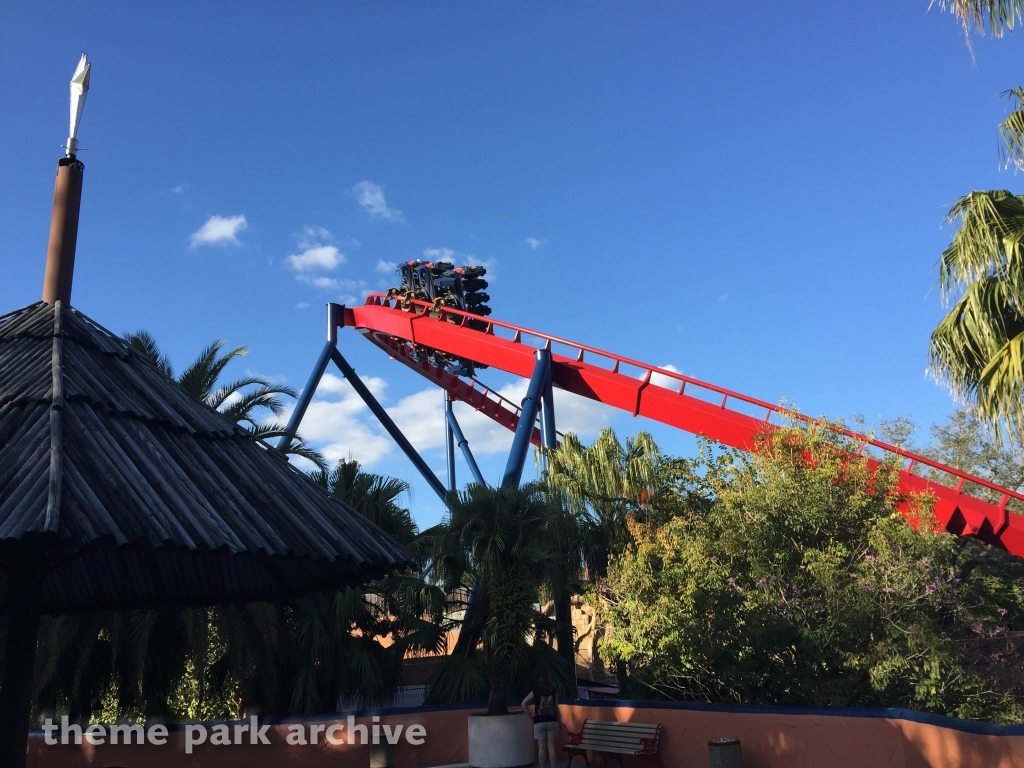 Sheikra at Busch Gardens Tampa