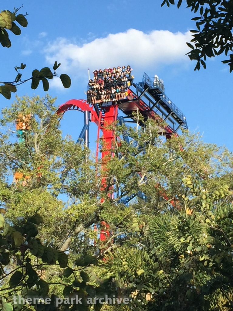 Sheikra at Busch Gardens Tampa