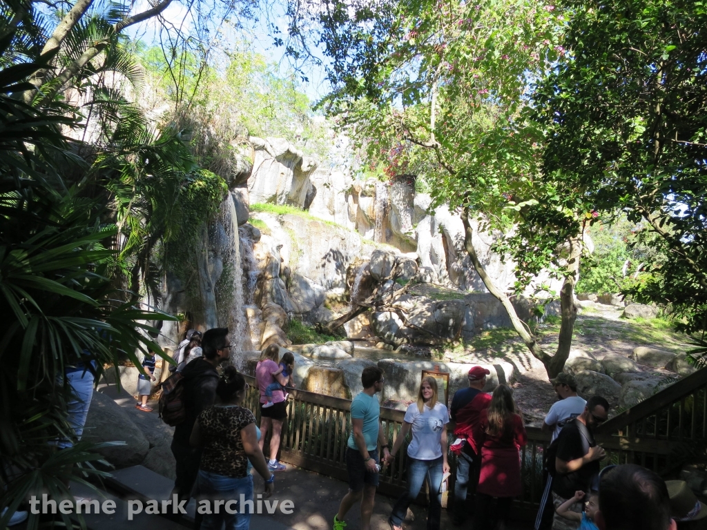 Edge of Africa at Busch Gardens Tampa