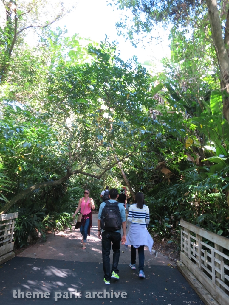 Edge of Africa at Busch Gardens Tampa