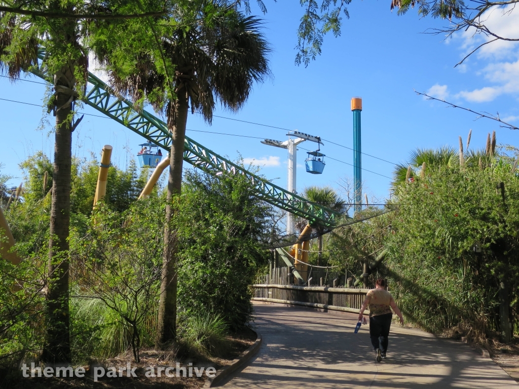 Cheetah Hunt at Busch Gardens Tampa