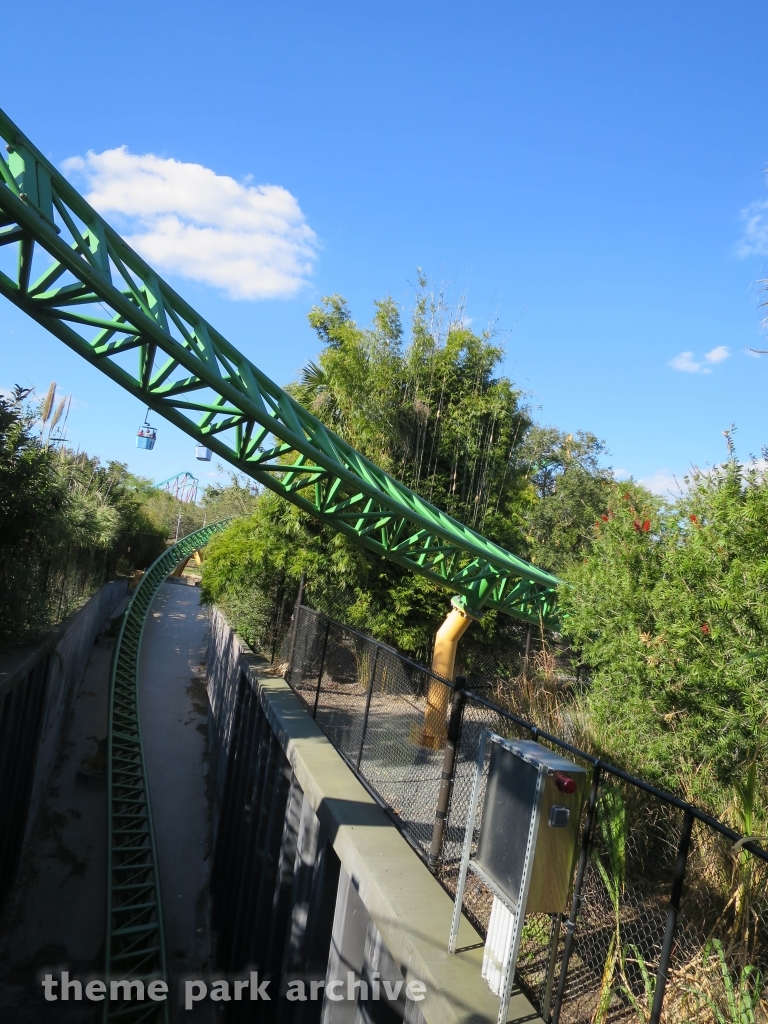 Cheetah Hunt at Busch Gardens Tampa