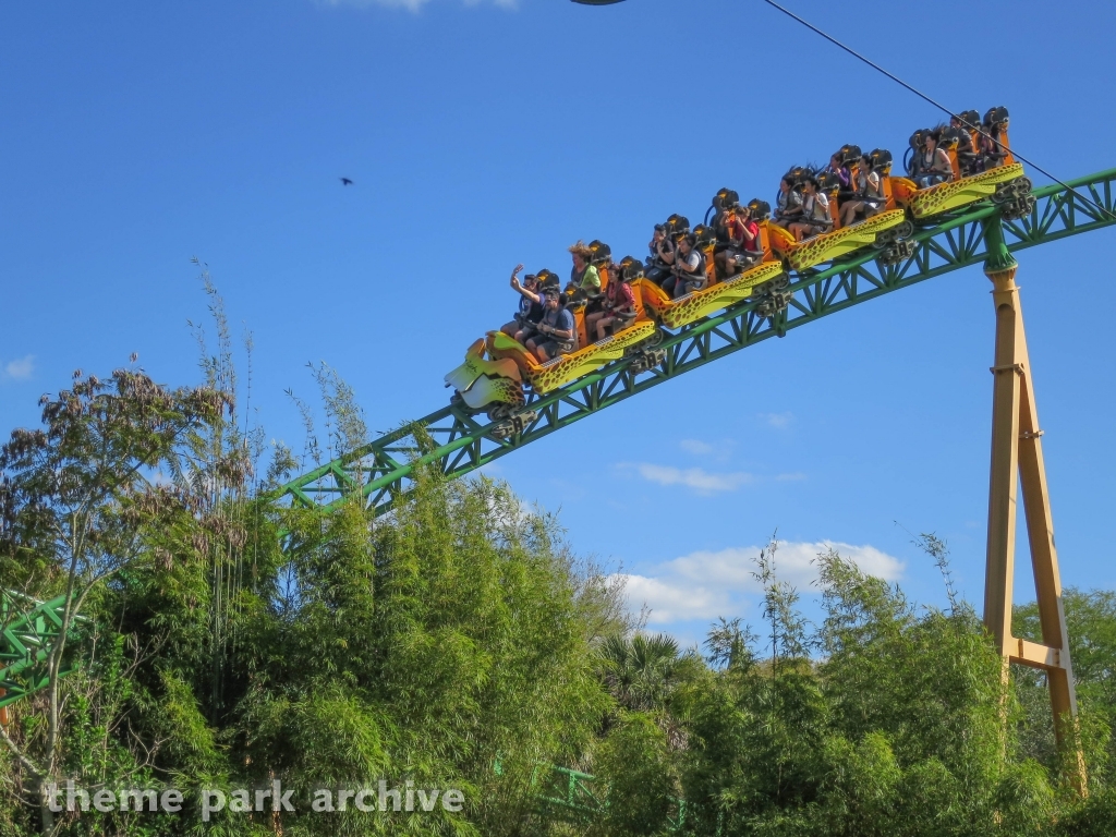 Cheetah Hunt at Busch Gardens Tampa
