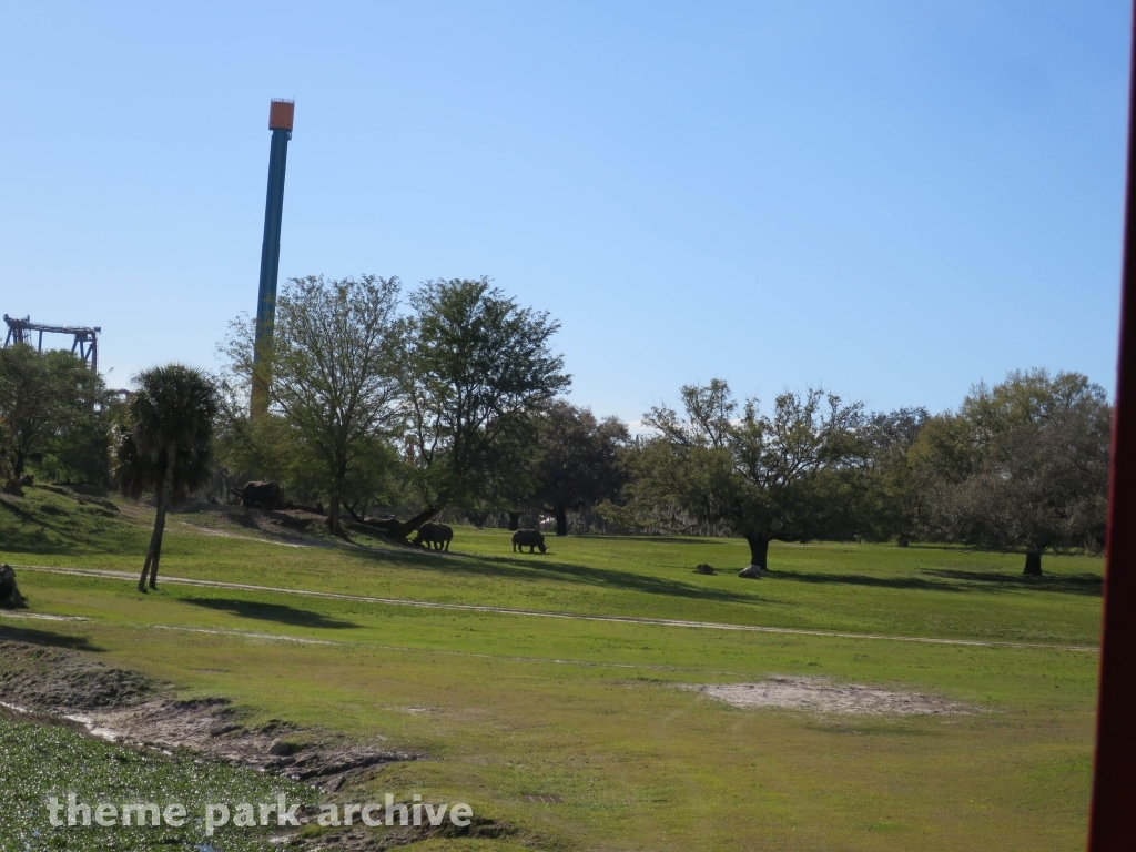Serengeti Plain at Busch Gardens Tampa