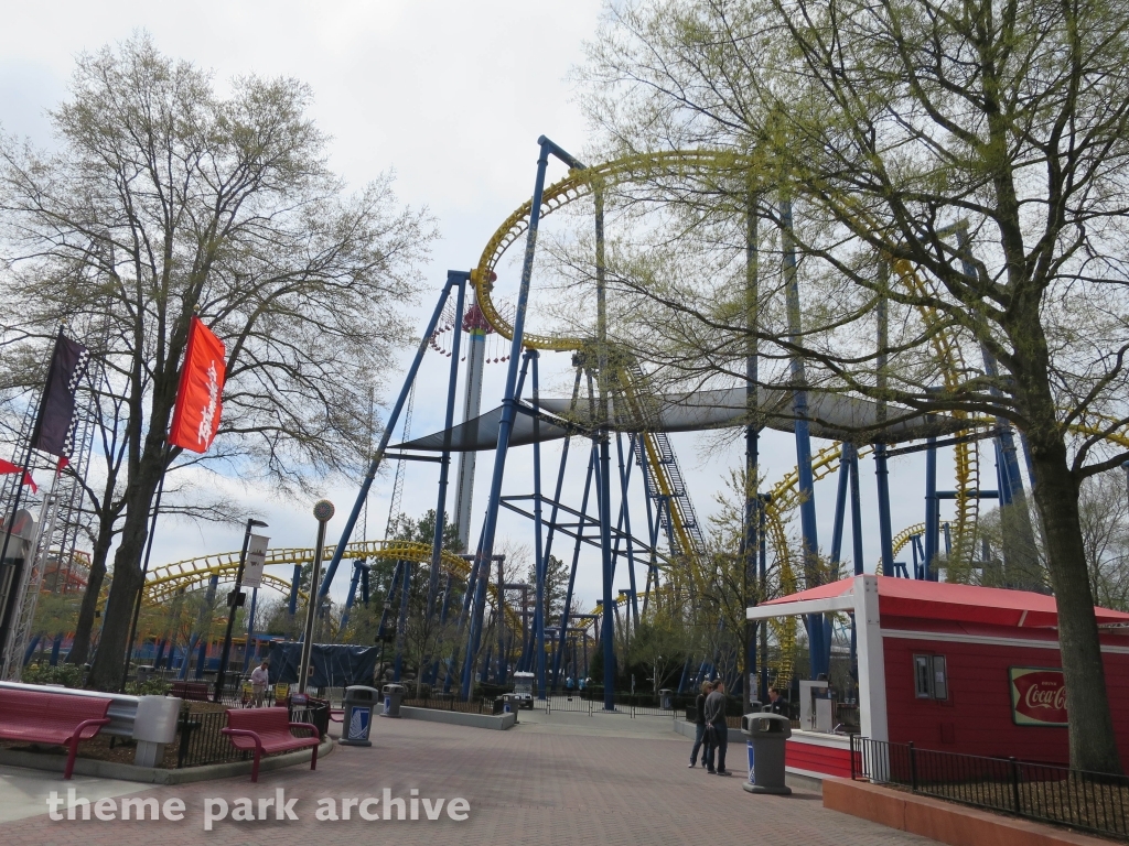 Nighthawk at Carowinds