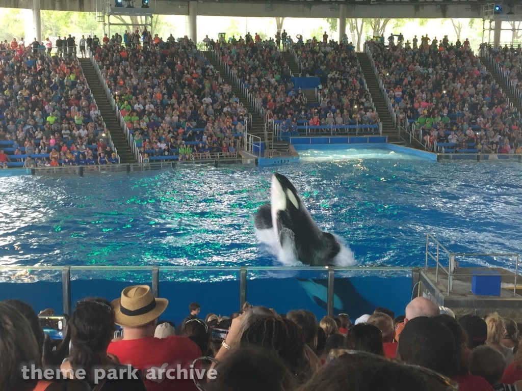 Shamu Theater at SeaWorld San Antonio